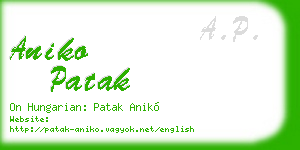 aniko patak business card